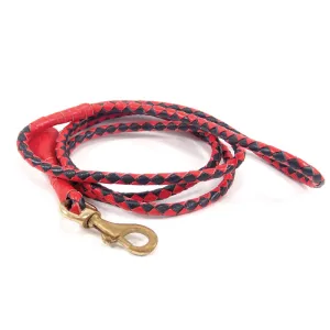 Carnival Lead - navy red