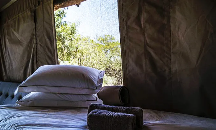 Dinokeng Big 5 Game Reserve: 2-Night stay for 2 including self game drive at Halfway There Game Lodge